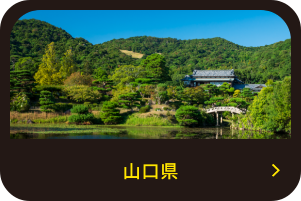 店舗情報